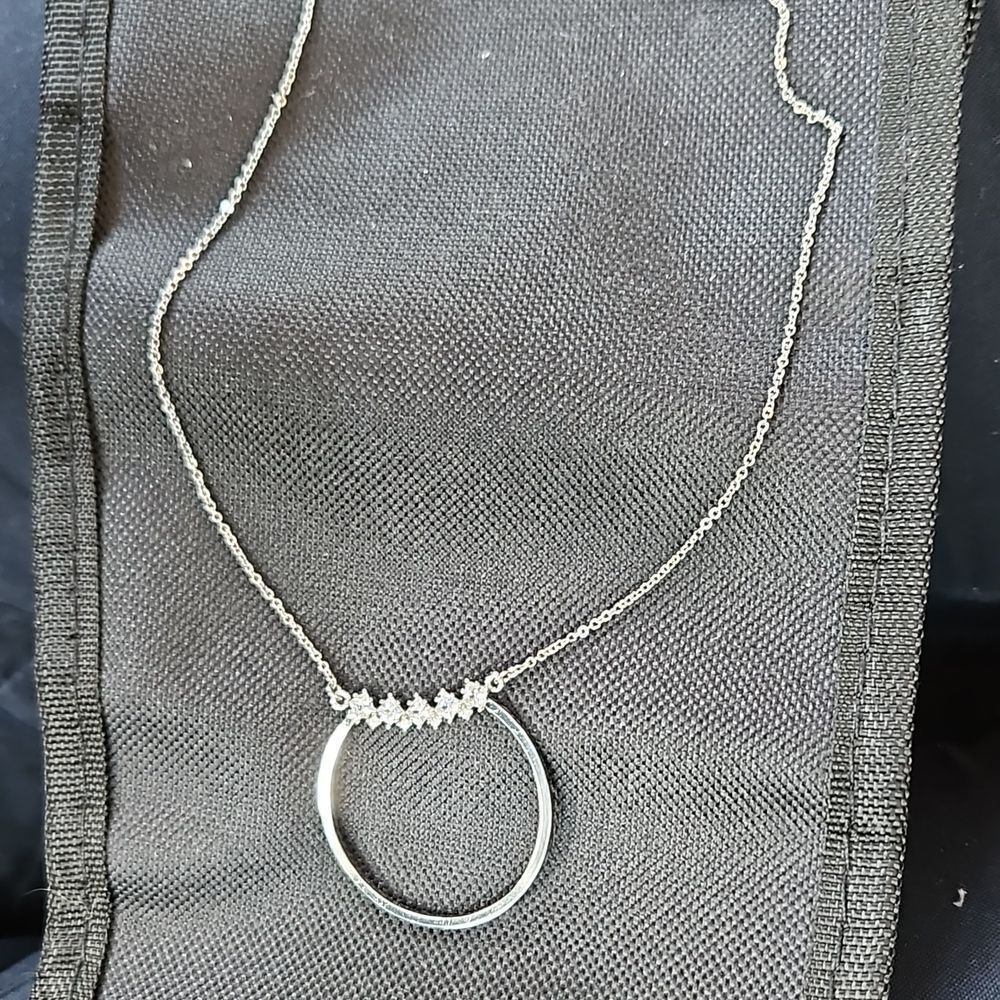 Express Silver & Rhinestone Necklace - Picture 2 of 2